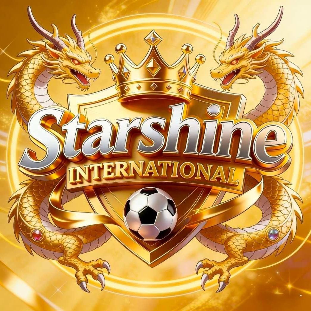 星耀国际图标