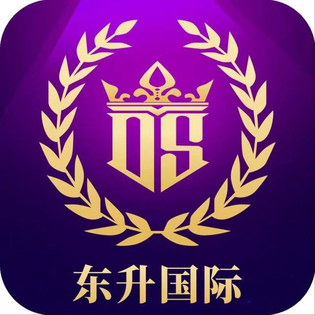 东升国际图标
